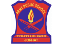 Army Public School