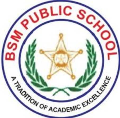 B.S.M. Public School