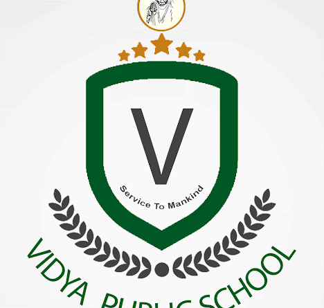 Vidya Public School