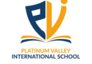 Platinum Valley International School