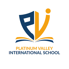 Platinum Valley International School