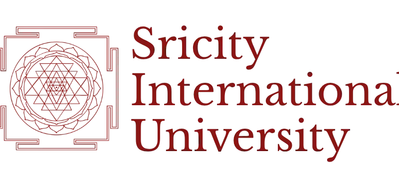 Sricity International University