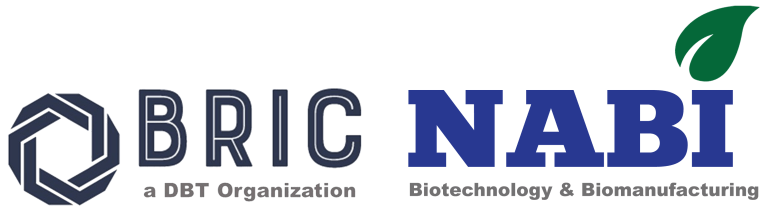 BRIC-NABI
